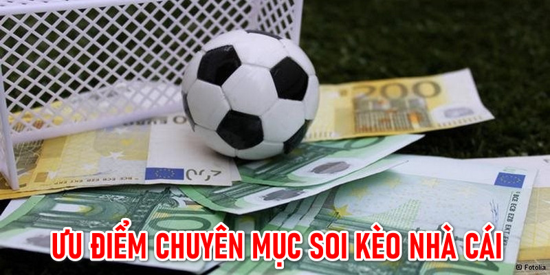 Nội dung trên hệ thống liên tục được cập nhật