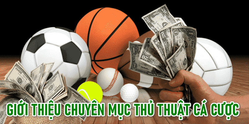 Đôi nét về chuyên mục chia sẻ thông tin, mẹo cá cược
