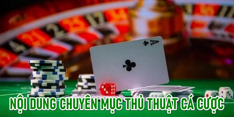 Chuyên mục chia sẻ kinh nghiệm đặt cược, vào tiền