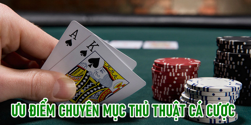 Các thông tin luôn sát với thực tế, dễ áp dụng