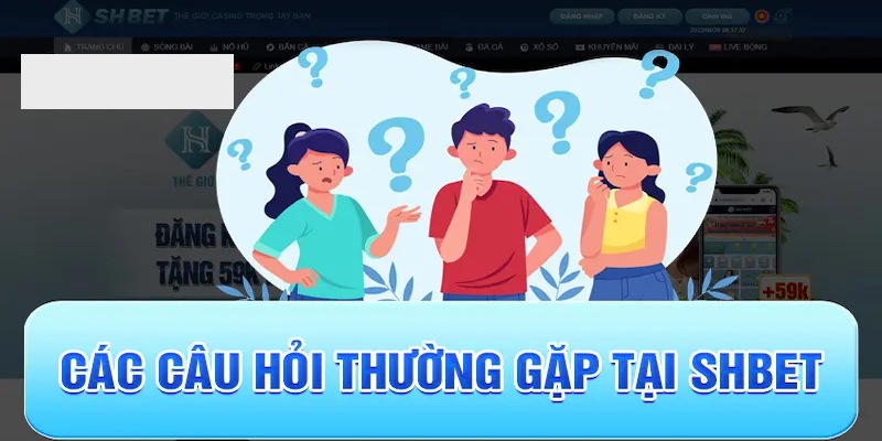 Câu hỏi liên quan đến hệ thống SHBET