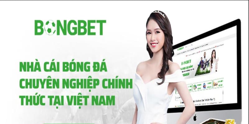 Tổng quan về sảnh cá cược Bongbet