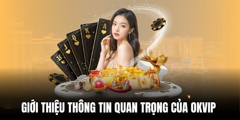 Giới thiệu những thông tin quan trọng về OKVIP