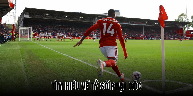 Tỷ số phạt góc là thông số quan trọng trong mọi trận cầu